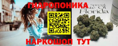 прущий лед Канаш