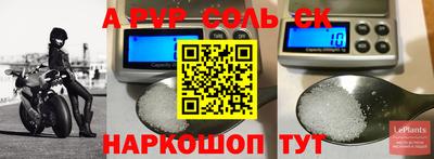 PSILOCYBIN Камышлов