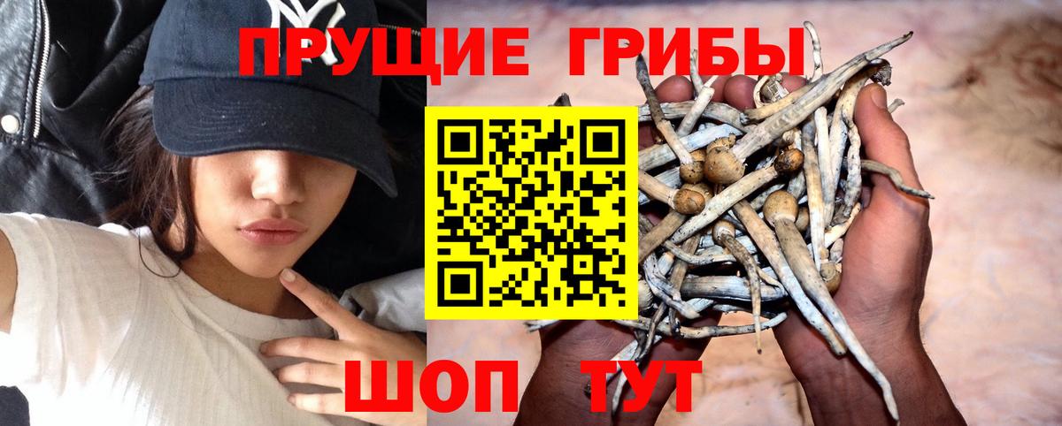 Галлюциногенные грибы мицелий  Вход с VPN  Кушва 
